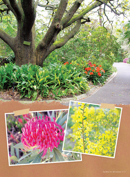 CSIRO Publishing - Seasonal Garden for Spring & Summer Bookazine
