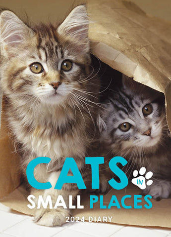 2024 Cats In Small Places Diary