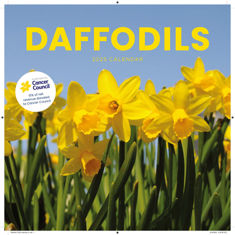 Daffodils Cancer Council 2025 Calendar