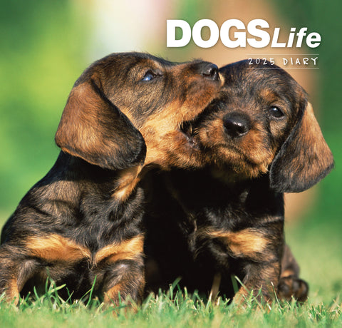 Dogs Life 2025 Diary
