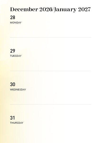 Being 2027 Diary