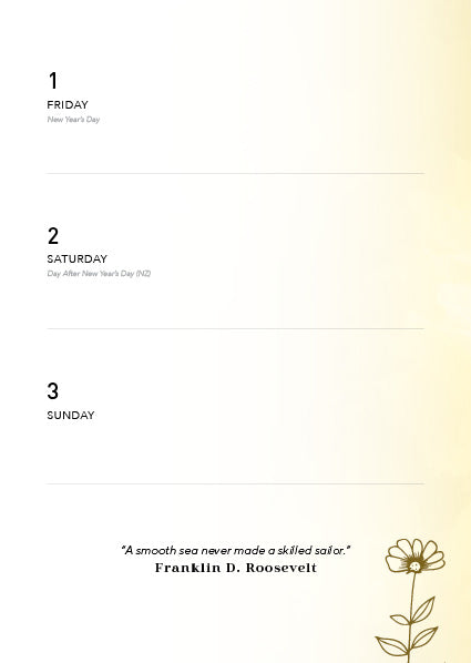 Being 2027 Diary