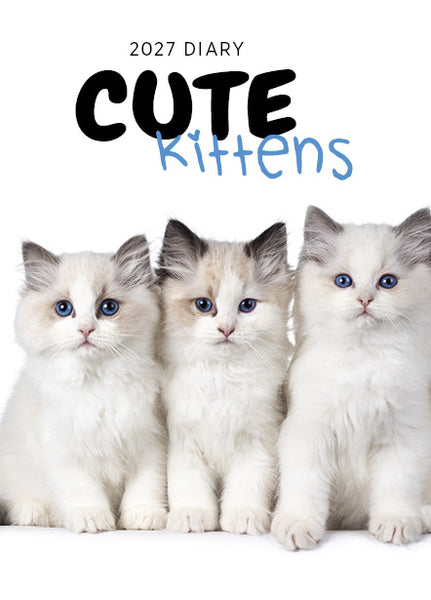 Cute Kittens 2027 Diary