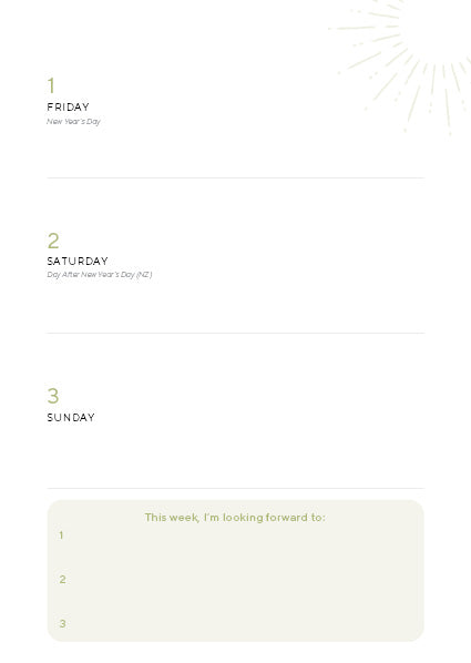WellBeing Mindfulness 2027 Diary