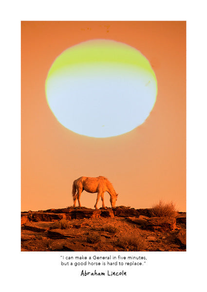 Wild Horses 2027 Diary