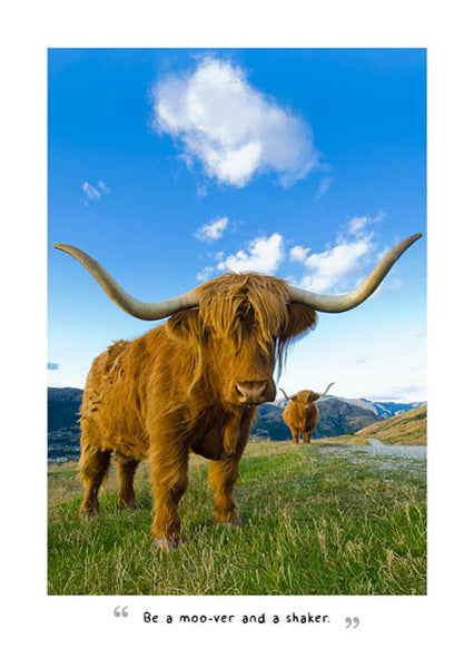 2024 Highland Cows Diary