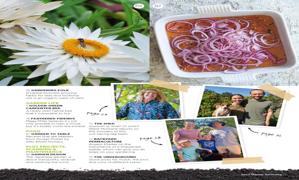 Good Organic Gardening Magazine Issue 16.2