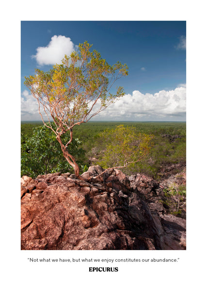 The Outback 2025 Diary Internal Image