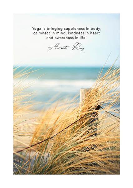 2024 Wellbeing Calm Diary