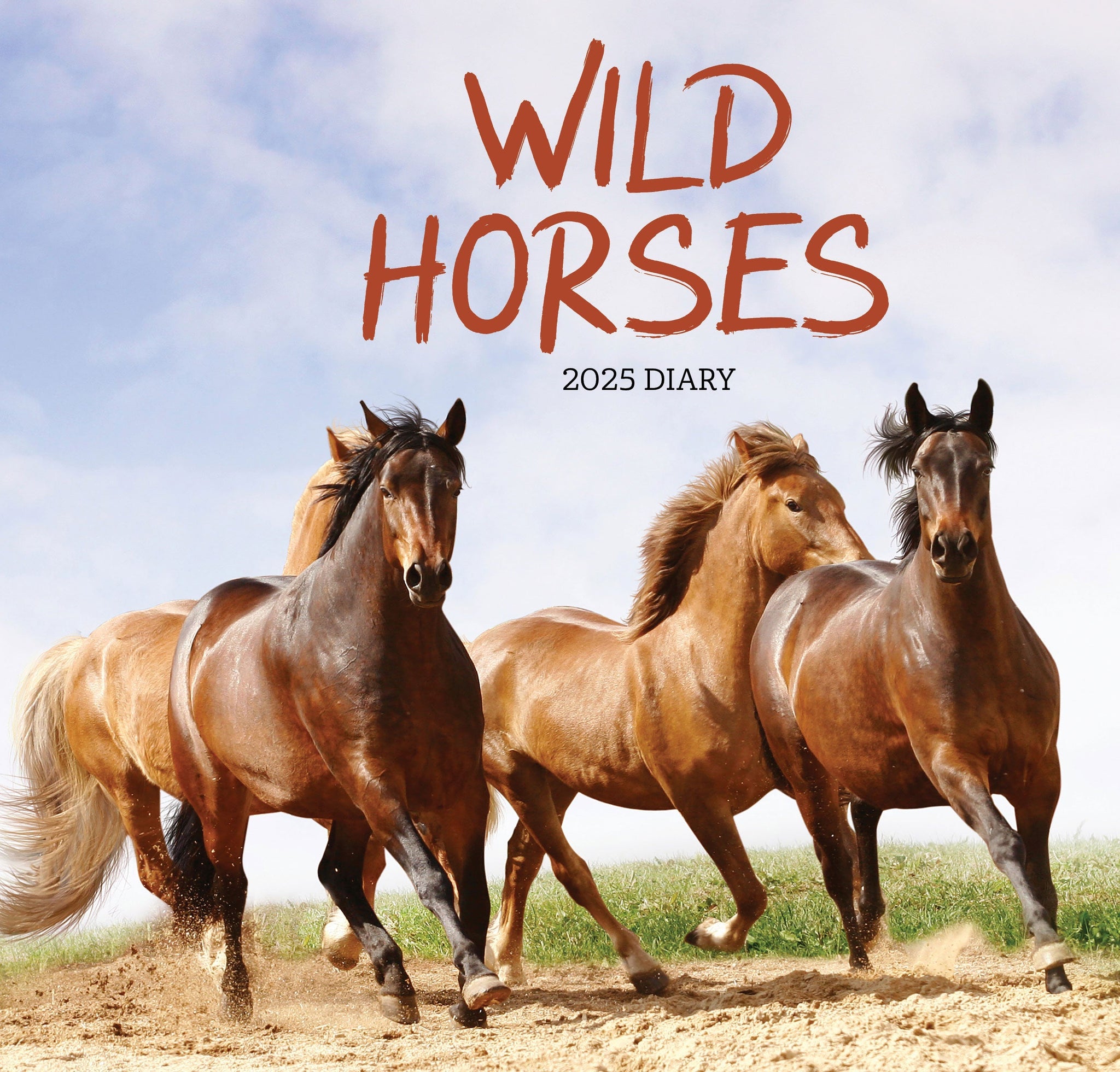Wild Horses 2026 Diary