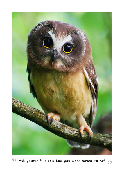 Wise Owls 2025 Diary Internal Image