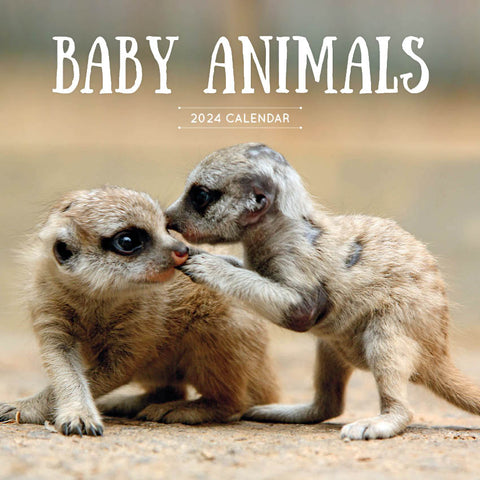 2024 Baby Animals Calendar – Cover Image