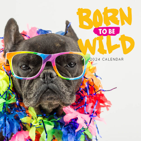 2024 Born To Be Wild Calendar – Cover Image