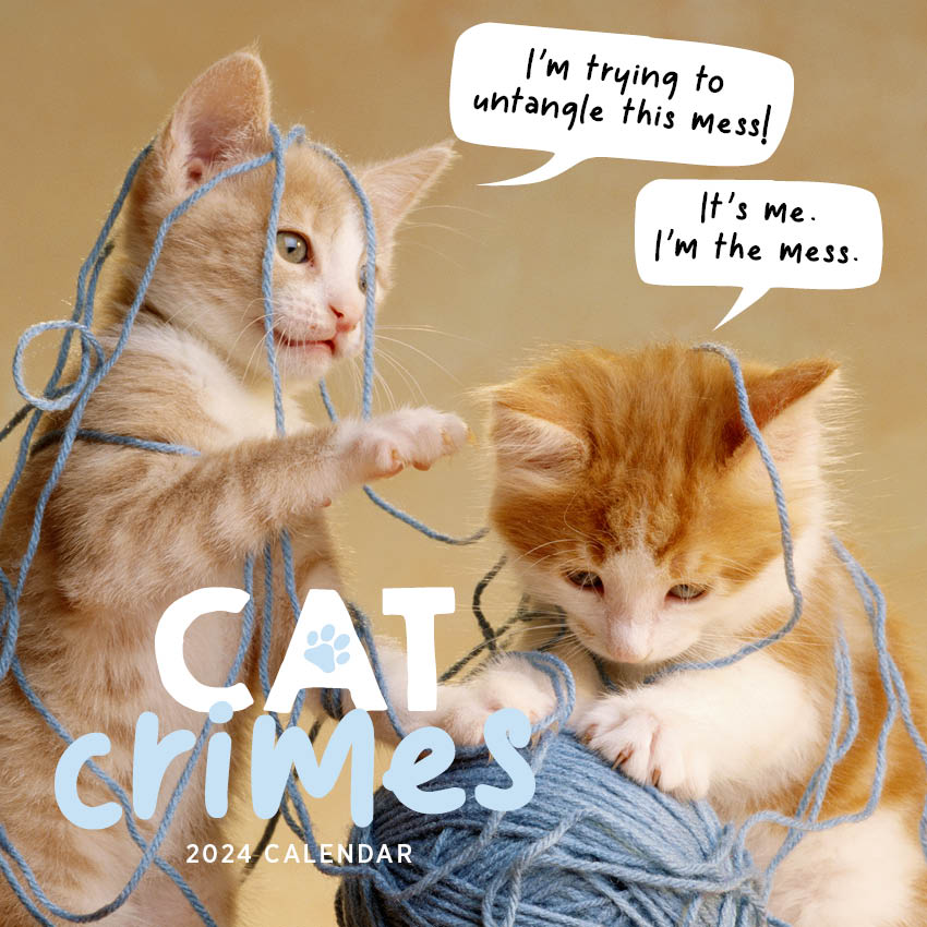 2024 Cat Crimes Calendar – Cover Image