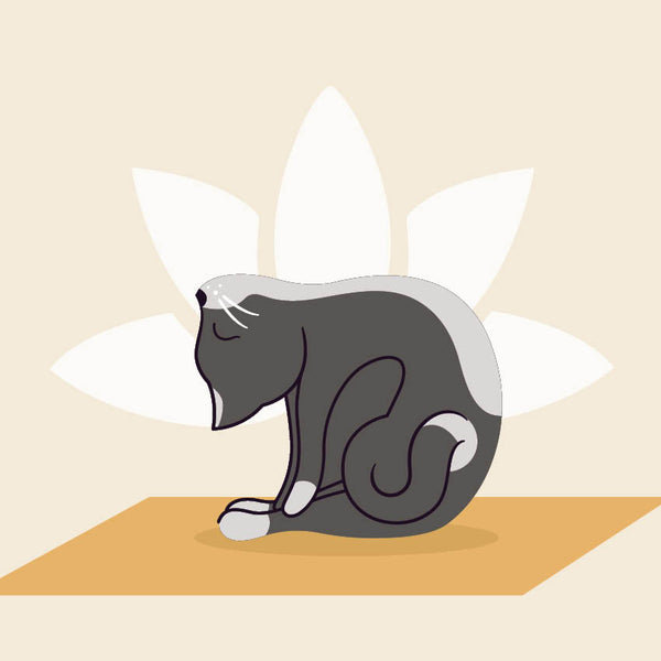 2024 Cat Yoga Calendar – Internal Image