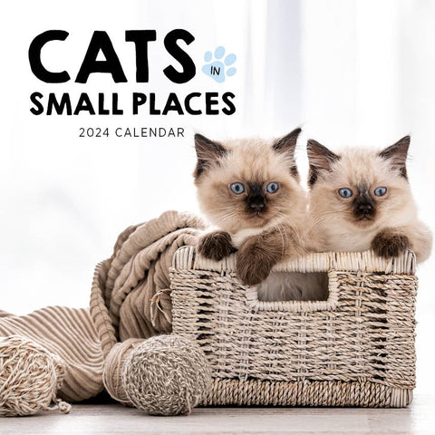 2024 Cats In Small Places Calendar – Cover Image