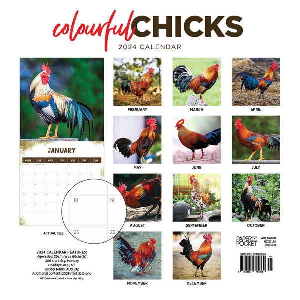 2024 Colourful Chicks Calendar – Back Cover