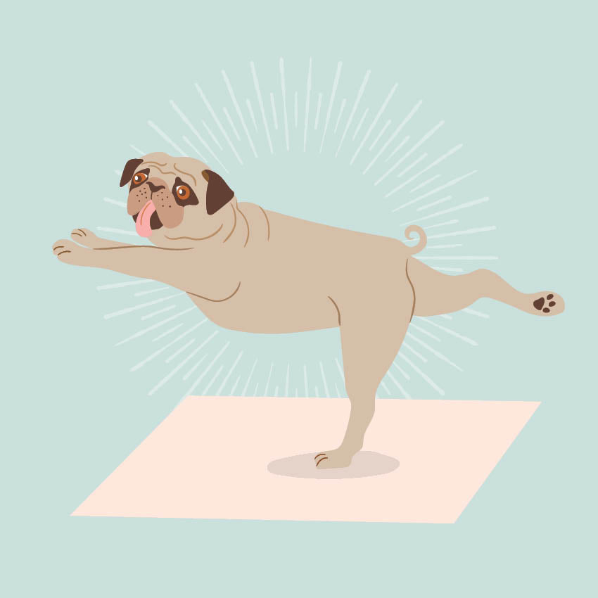 2024 Dog Yoga Calendar Paper Pocket
