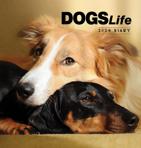 2024 Dogs Life Dairy – Cover Image