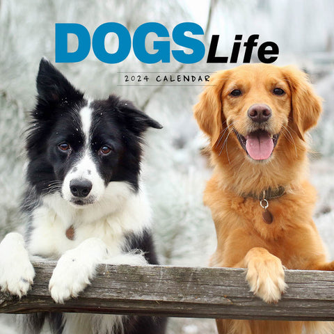 2024 Dogs Life Calendar – Cover Image