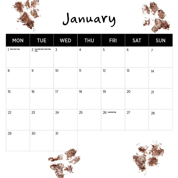 2024 Dogs Life Calendar – Month Overview