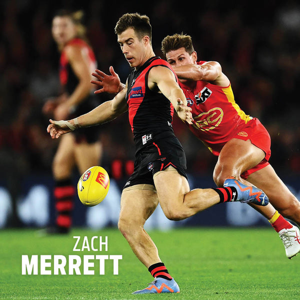 2024 Afl Essendon Bombers Calendar – Internal Image