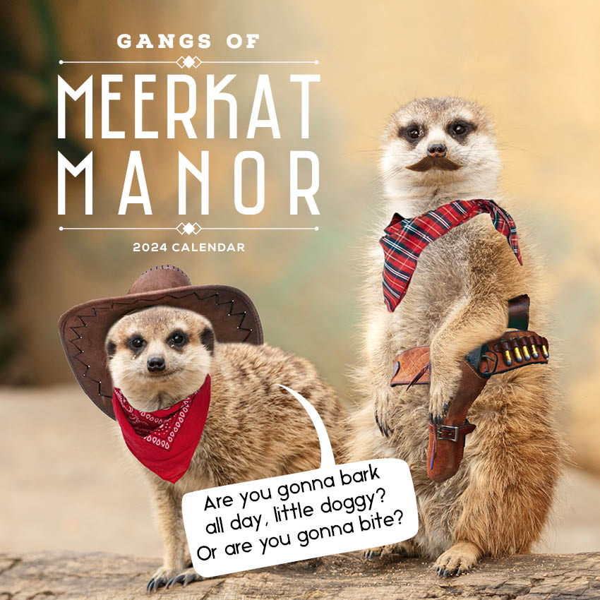 2024 Gangs Of Meerkat Manor Calendar – Cover Image