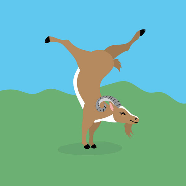 2024 Goat Yoga Calendar – Internal Image