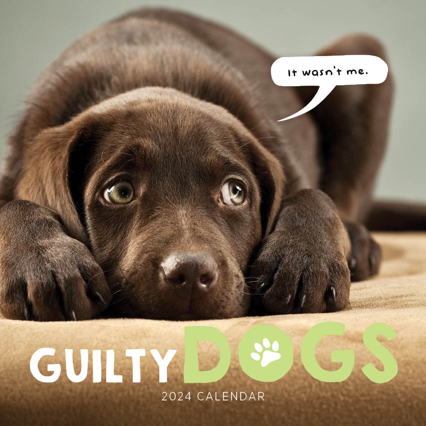 2024 Guilty Dogs Calendar Paper Pocket