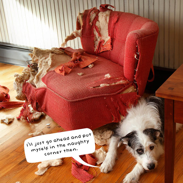 2024 Guilty Dogs Calendar – Internal Image