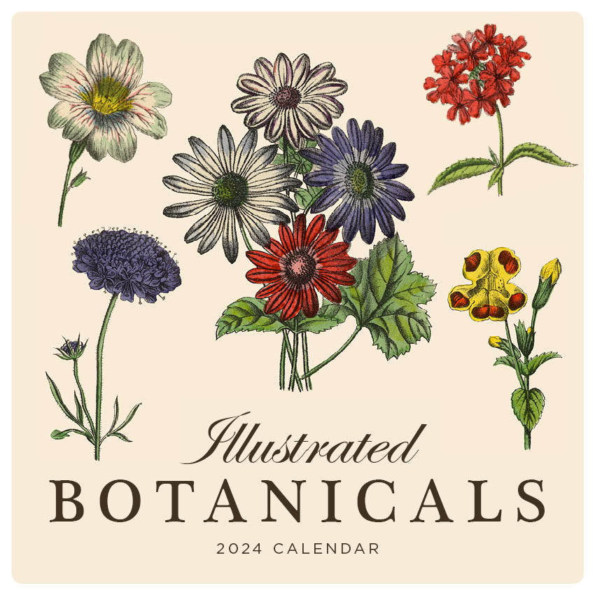2024 Illustrated Botanicals Calendar – Cover Image