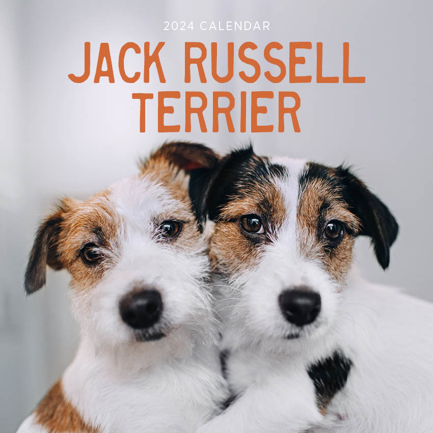 2024 Jack Russell Terrier Calendar Paper Pocket