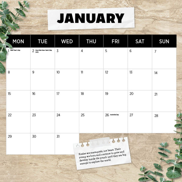 2024 Koalas Calendar – Month Overview