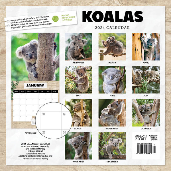 2024 Koalas Calendar – Back Cover