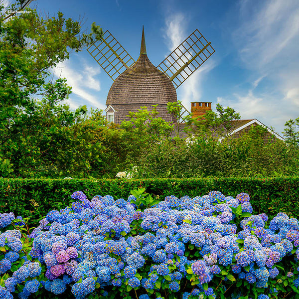 2024 Life in the Hamptons Calendar Paper Pocket