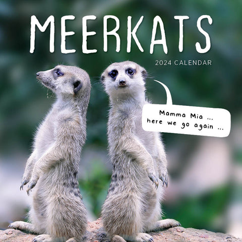 2024 Meerkats Calendar – Cover Image
