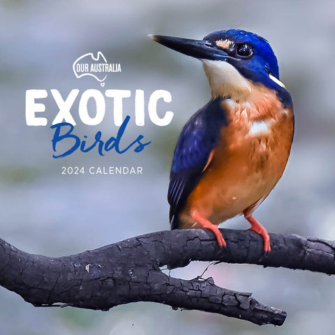2024 Our Australia Exotic Birds Calendar – Cover Image
