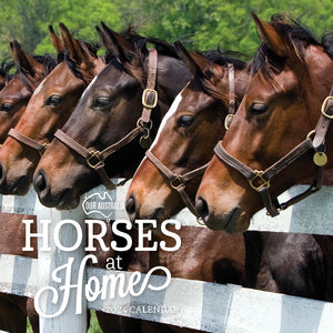 2024 Our Australia Horses At Home Calendar – Cover Image