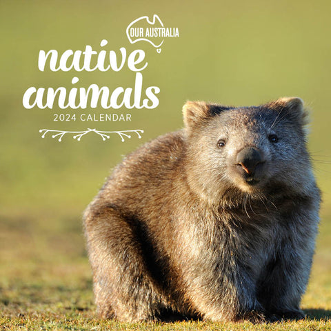 2024 Our Australia Native Animals Calendar – Cover Image