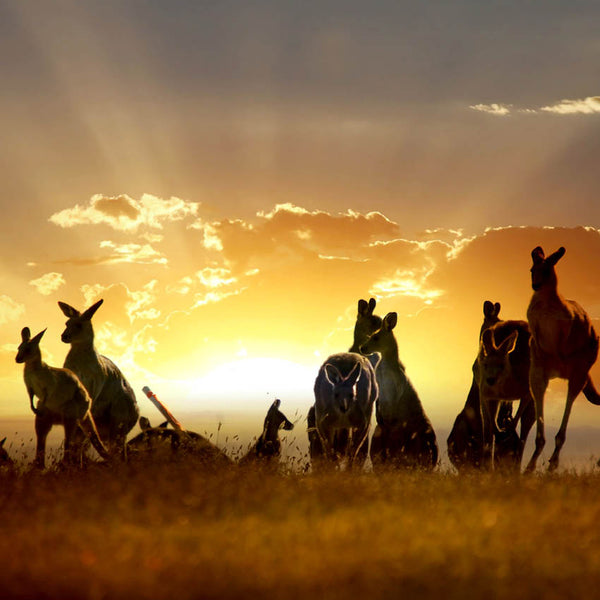 2024 Our Australia Outback Calendar – Internal Image