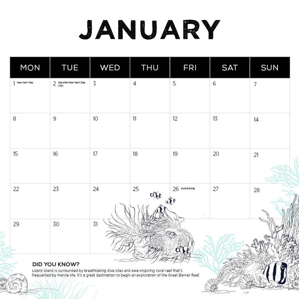 2024 Our Australia Reefs Calendar – Month Overview