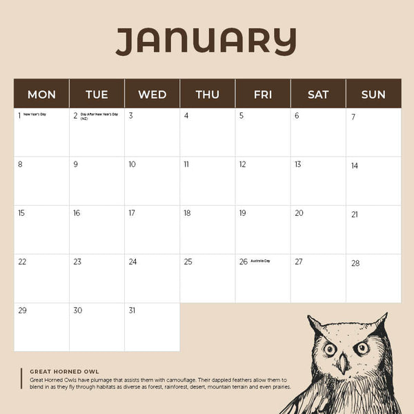 2024 Owls Calendar – Month Overview