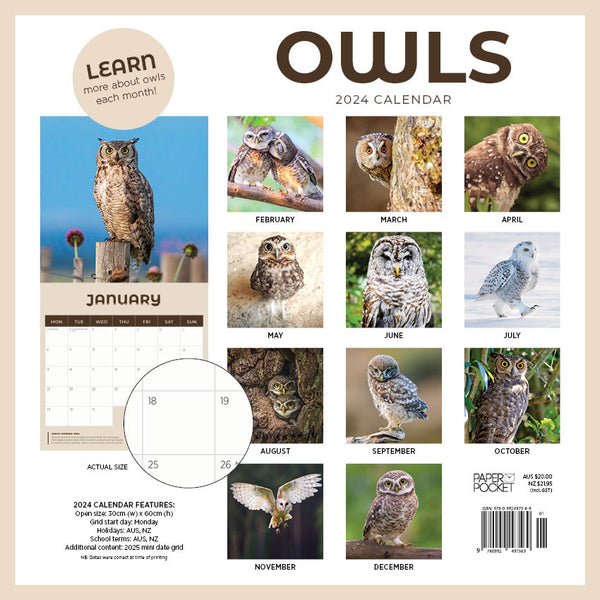 2024 Owls Calendar Paper Pocket