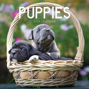 2024 Puppies Calendar – Cover Image