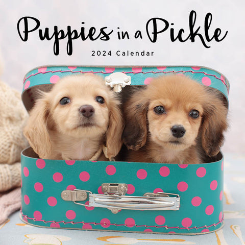 2024 Puppies In A Pickle Calendar – Cover Image