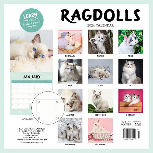 2024 Ragdolls Calendar – Back Cover