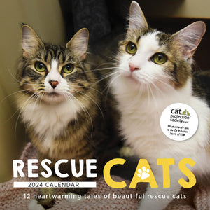 2024 Rescue Cats Calendar – Cover Image