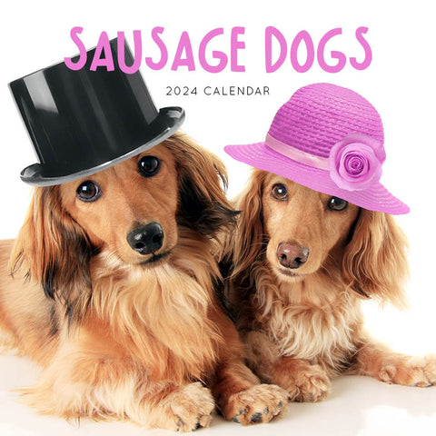 2024 Sausage Dogs Calendar – Cover Image
