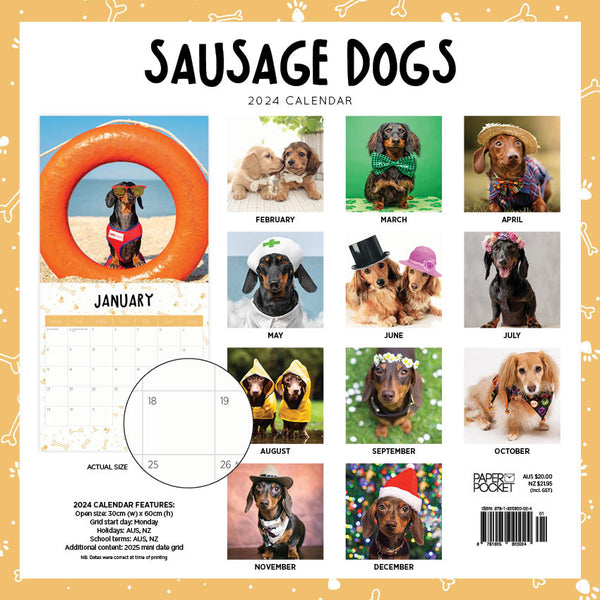 2024 Sausage Dogs Calendar Paper Pocket