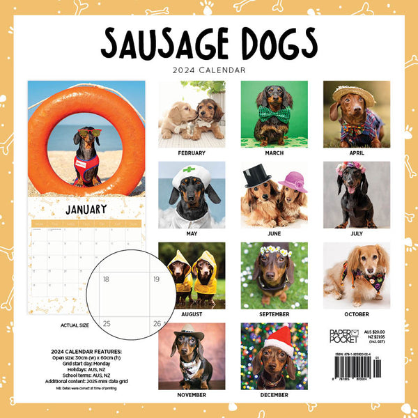 2024 Sausage Dogs Calendar – Back Cover